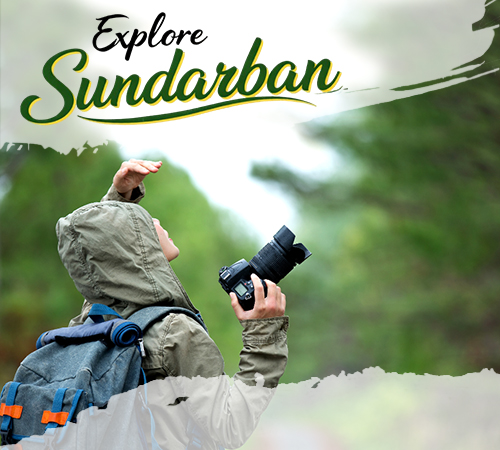 Sundarban Wildlife Photography Trip
